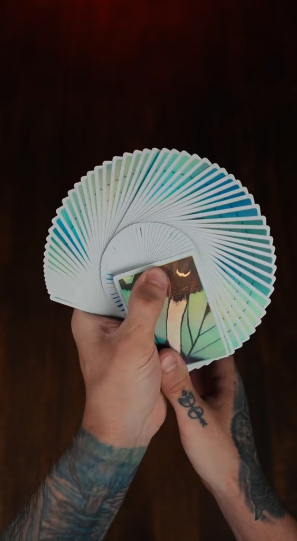 Turquoise Beauty Cards