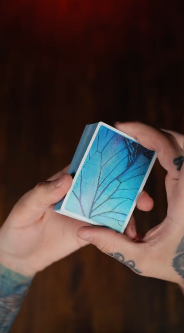 Reflecting Blue Petal Cards