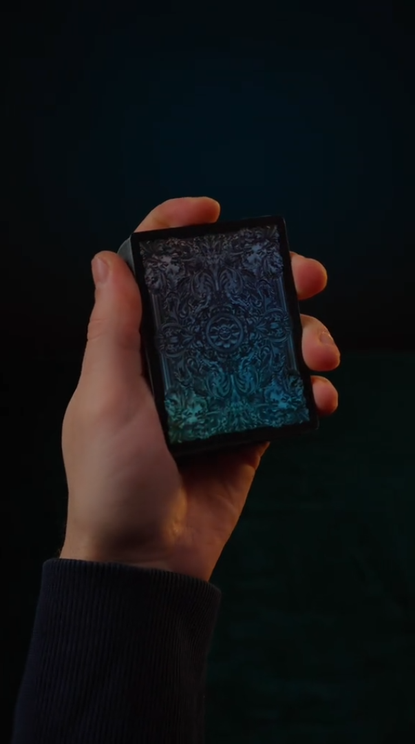 Reflecting Black Beauty Cards