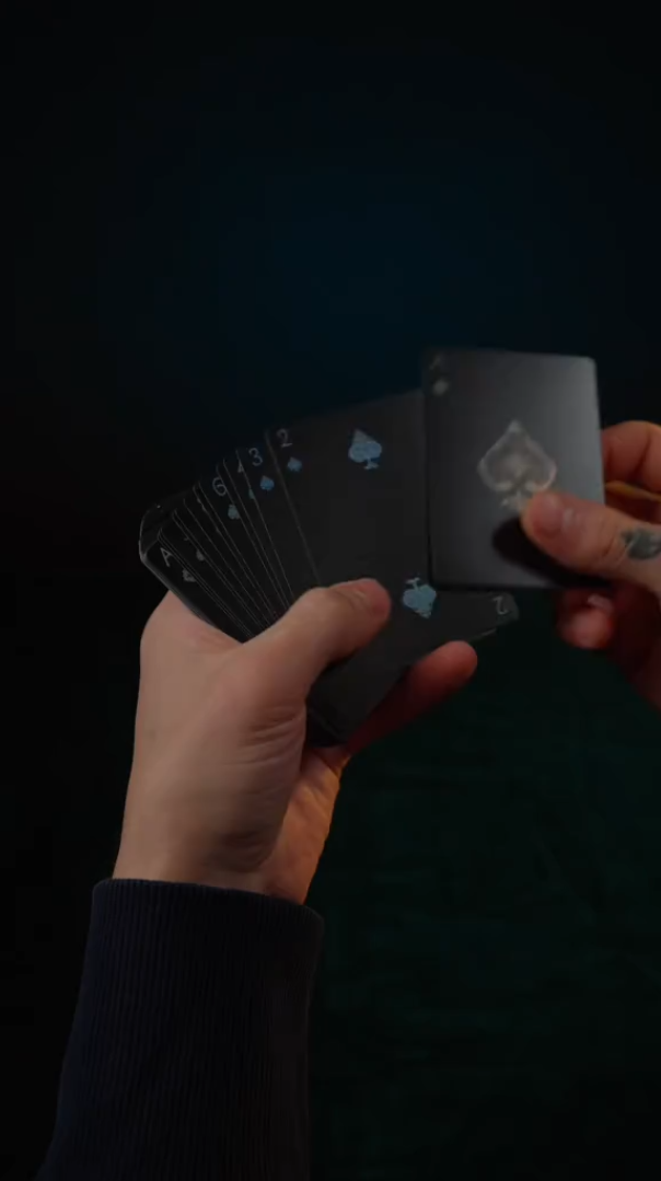 Reflecting Black Beauty Cards