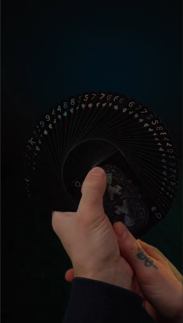 Reflecting Black Beauty Cards