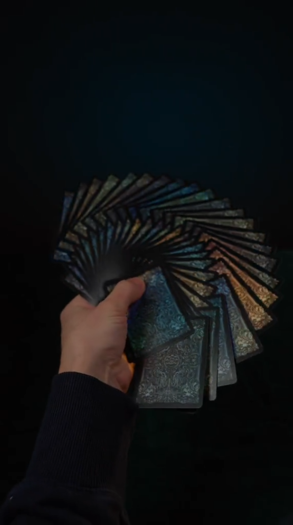 Reflecting Black Beauty Cards